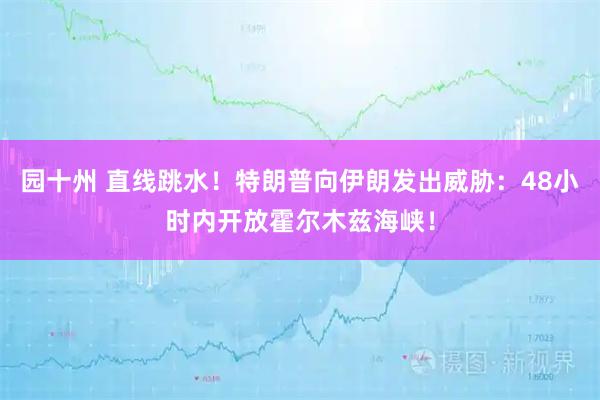 园十州 直线跳水！特朗普向伊朗发出威胁：48小时内开放霍尔木兹海峡！